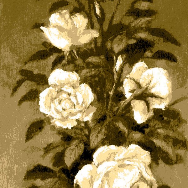 Fehér rózsák antik